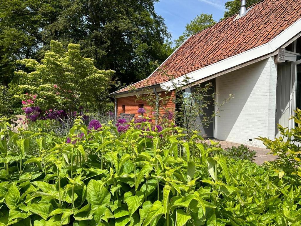 Haystackcottage Paterswolde Eksteriør bilde