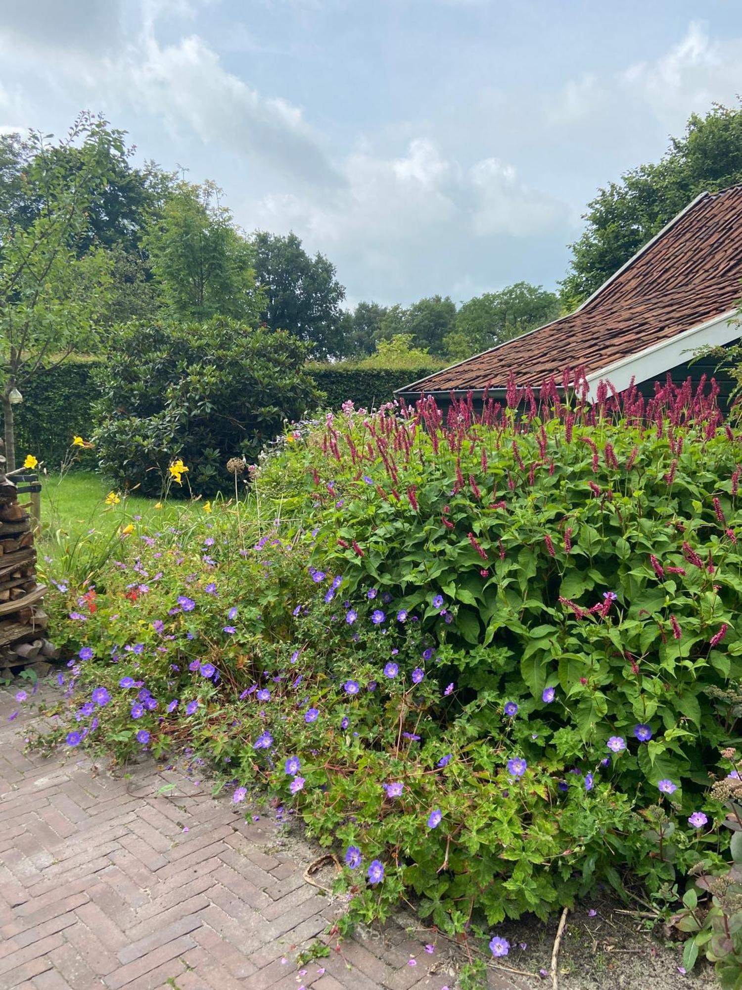 Haystackcottage Paterswolde Eksteriør bilde