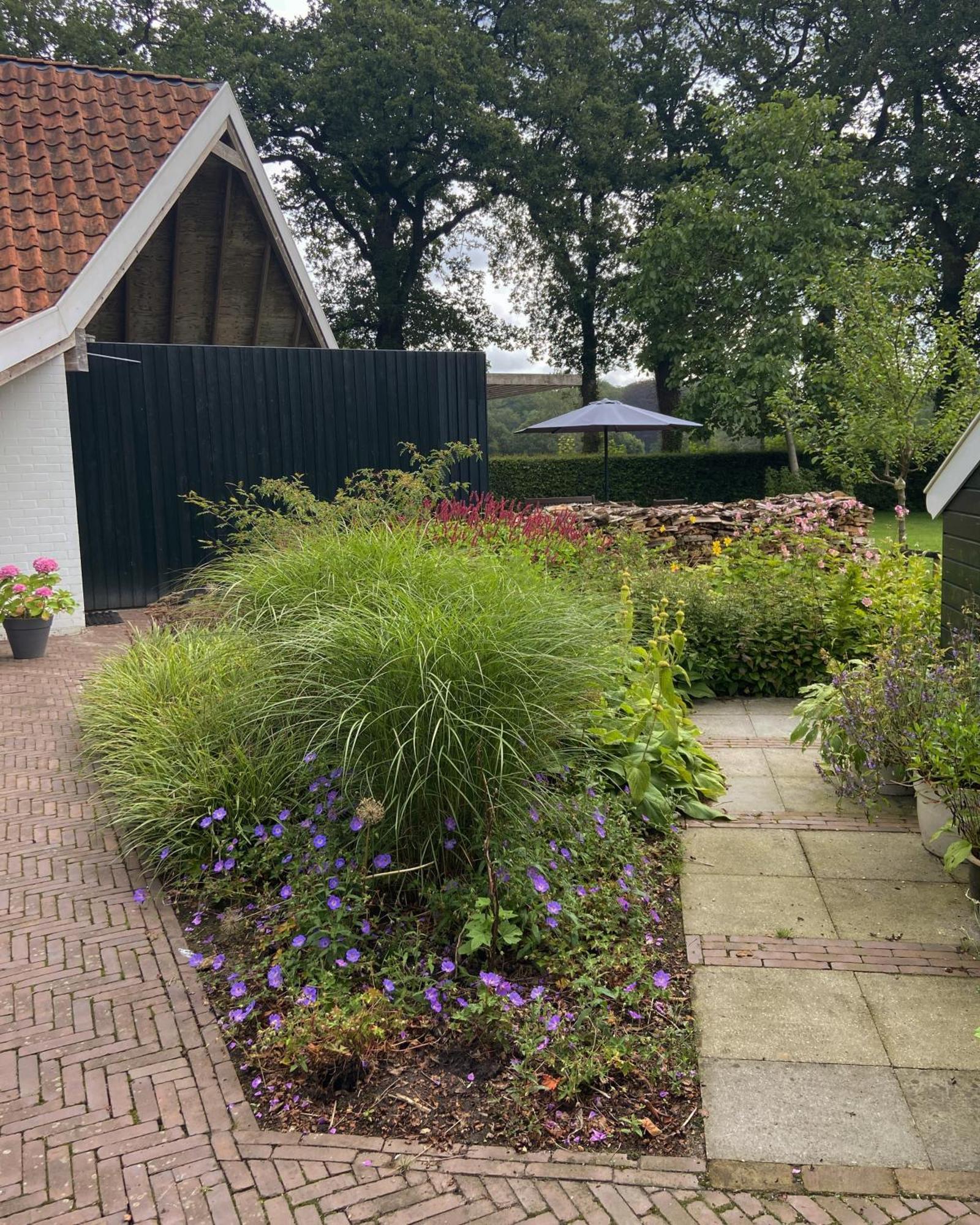 Haystackcottage Paterswolde Eksteriør bilde